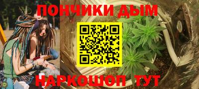 прущие грибы Владимир