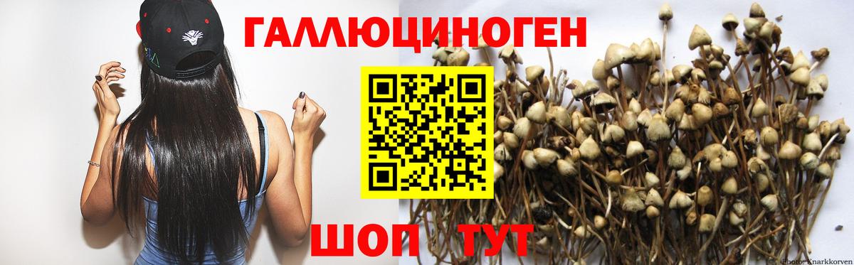 Джанкой  Псилоцибиновые грибы прущие грибы  Псилоцибиновые грибы Psilocybine cubensis  Вход с VPN 